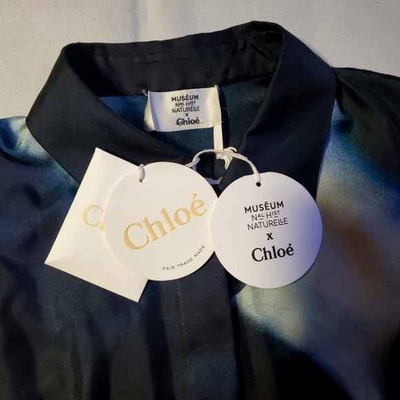 NWT $1950 Chloe Geode Print Twill Patterned Classic Silk Button Blouse Sz 40 (8) - Picture 11 of 16